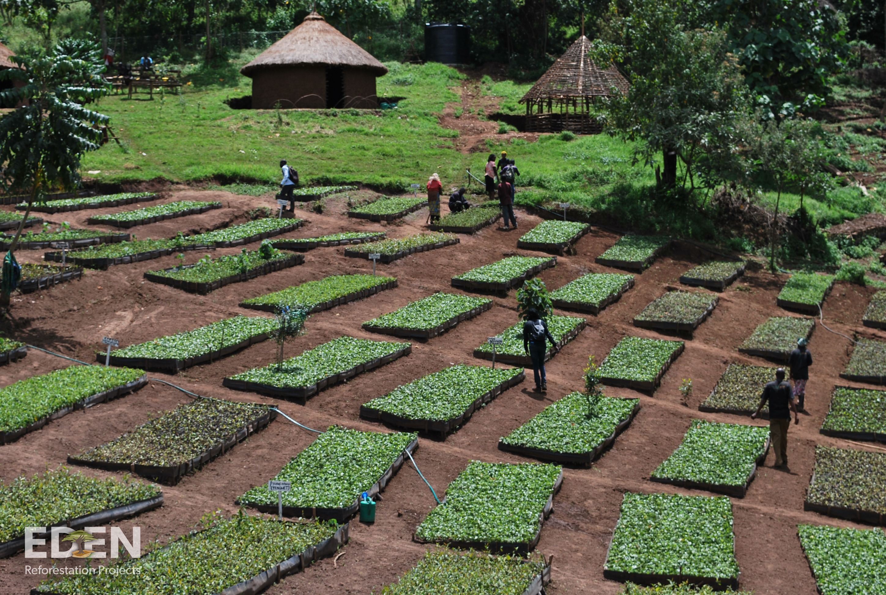 Eden Reforestation Projects